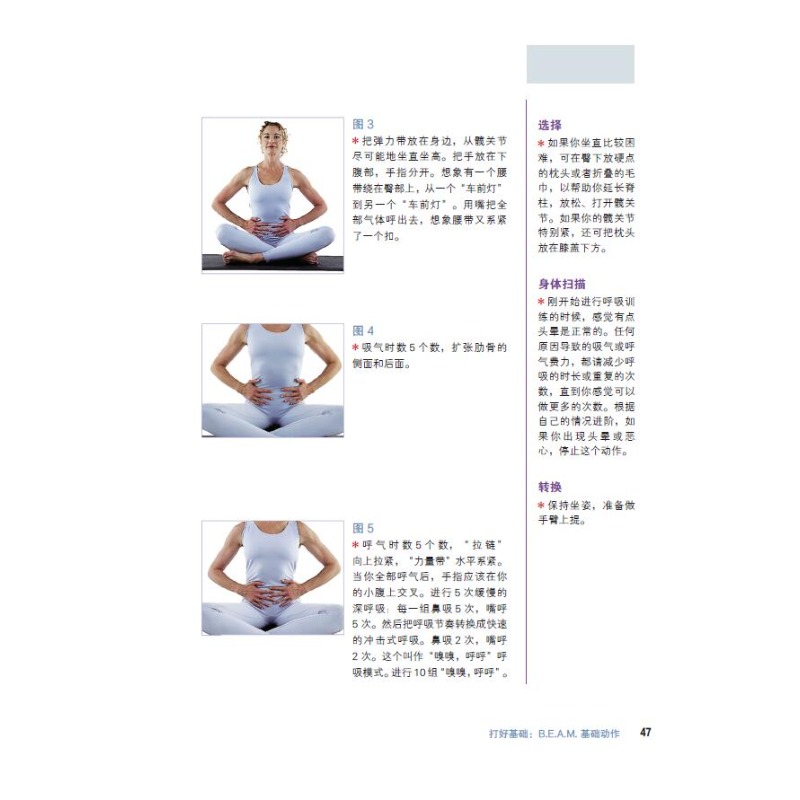 Dasar Pilates: Buku Latihan La - Home Improvement Books ulasan dan harga